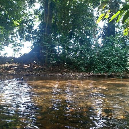 Glamping Naioth Apartment Guapiles Ngoại thất bức ảnh