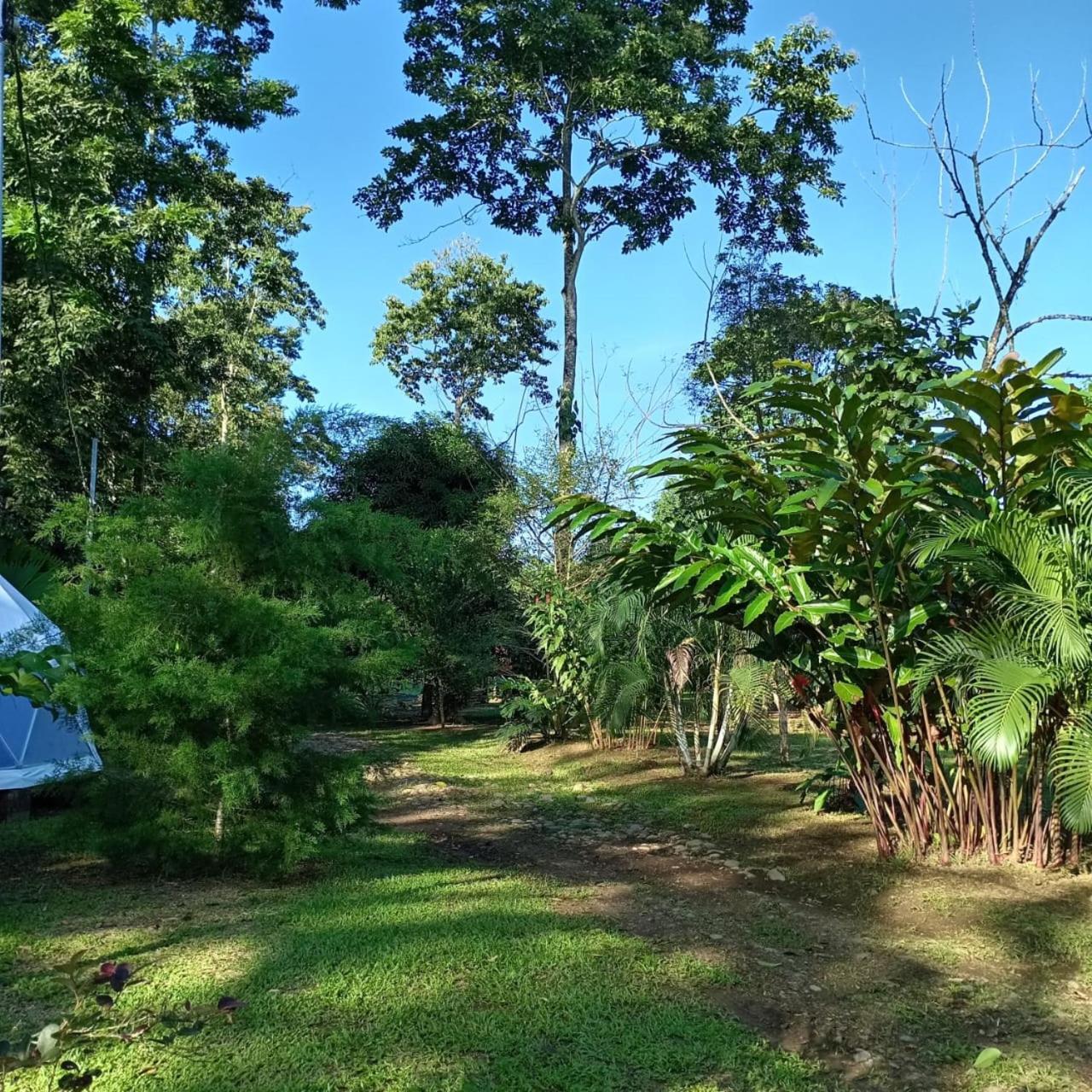 Glamping Naioth Apartment Guapiles Ngoại thất bức ảnh