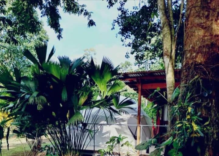 Glamping Naioth Apartment Guapiles Ngoại thất bức ảnh