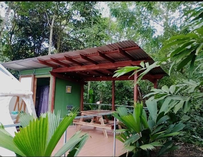 Glamping Naioth Apartment Guapiles Ngoại thất bức ảnh