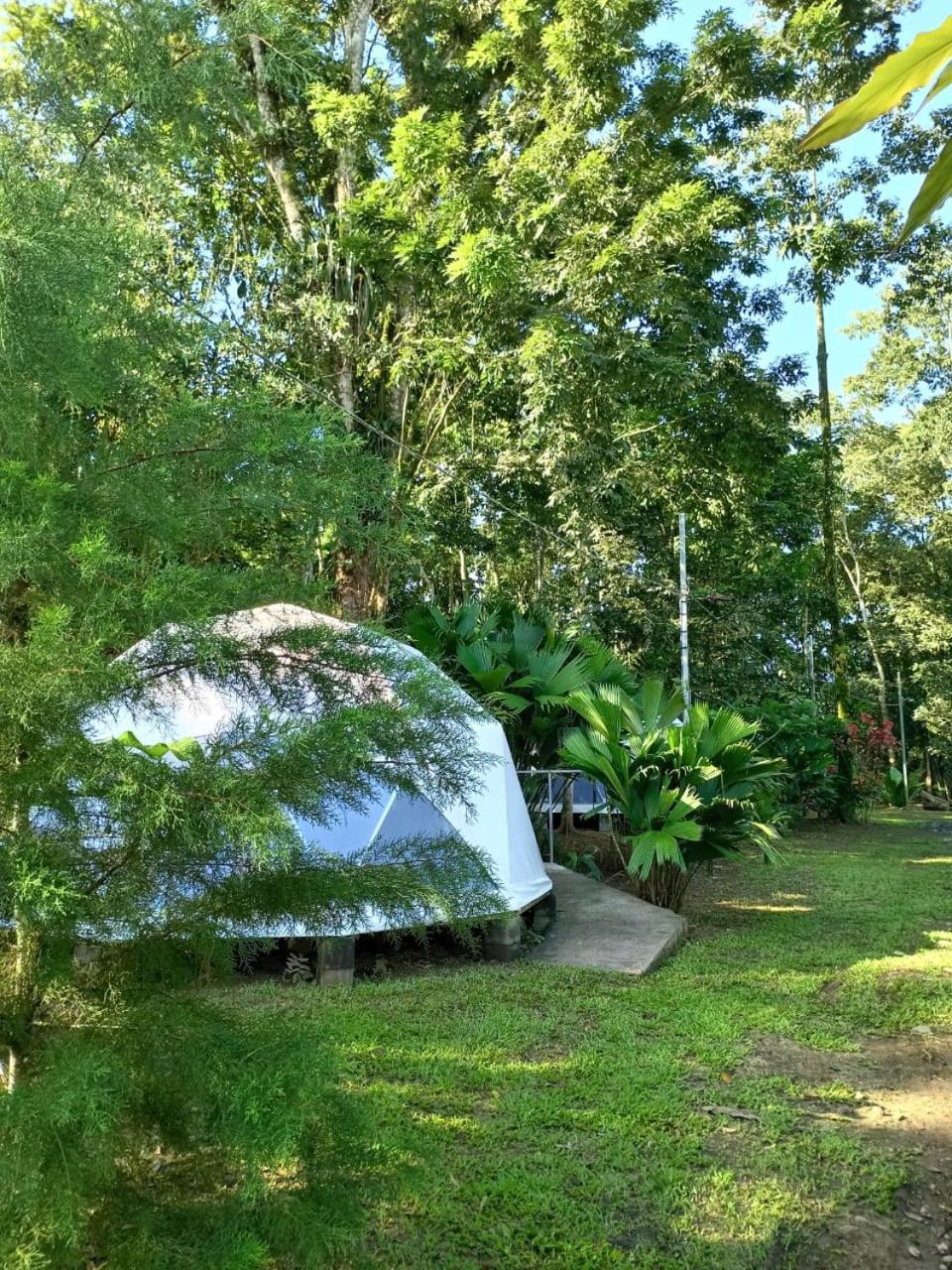 Glamping Naioth Apartment Guapiles Ngoại thất bức ảnh