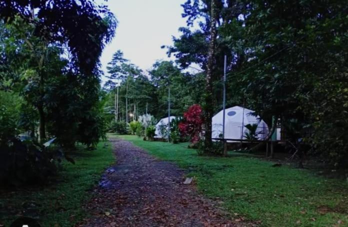 Glamping Naioth Apartment Guapiles Ngoại thất bức ảnh