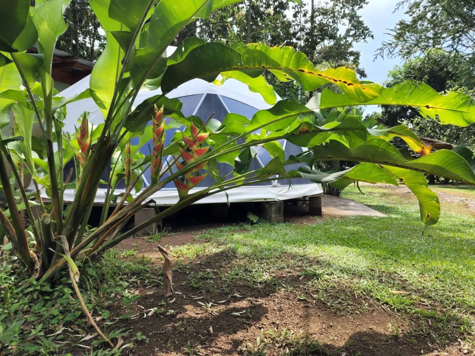 Glamping Naioth Apartment Guapiles Ngoại thất bức ảnh