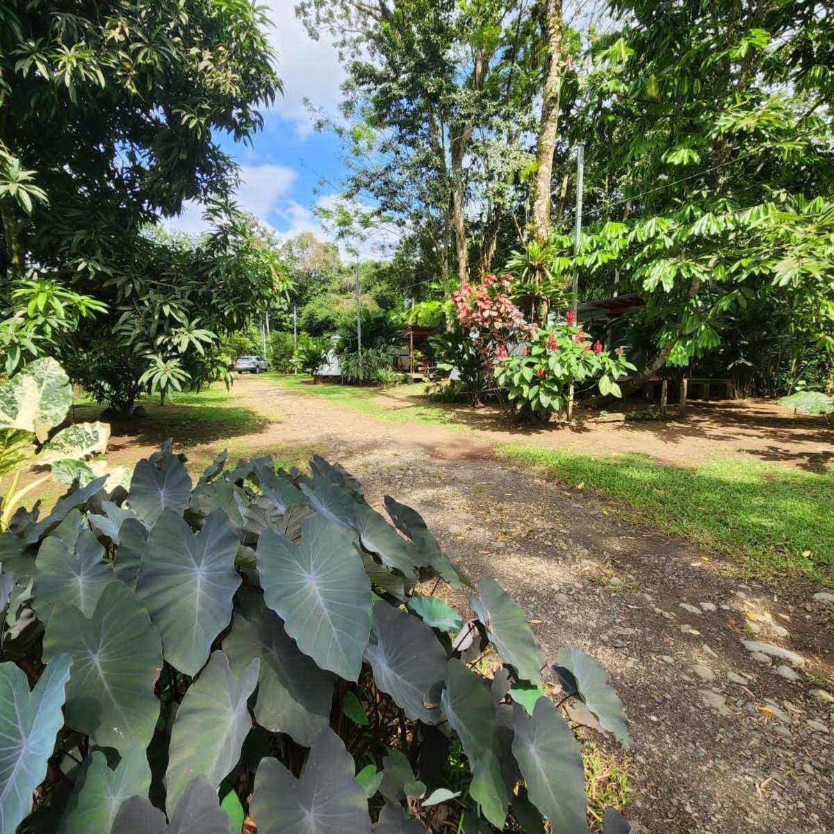 Glamping Naioth Apartment Guapiles Ngoại thất bức ảnh