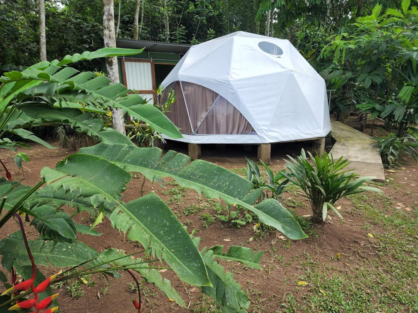 Glamping Naioth Apartment Guapiles Ngoại thất bức ảnh