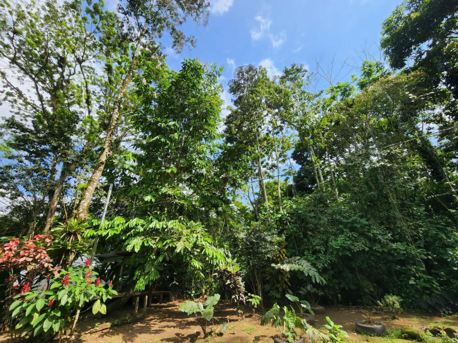 Glamping Naioth Apartment Guapiles Ngoại thất bức ảnh