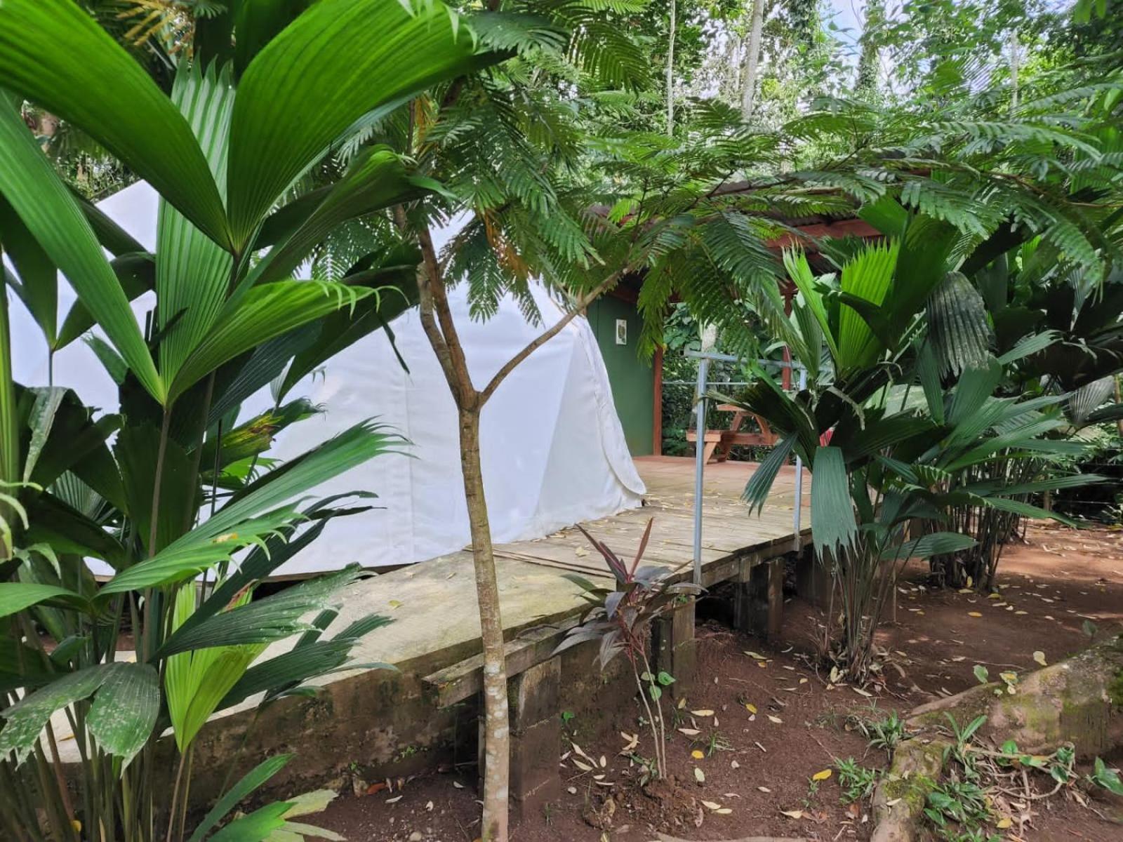 Glamping Naioth Apartment Guapiles Ngoại thất bức ảnh