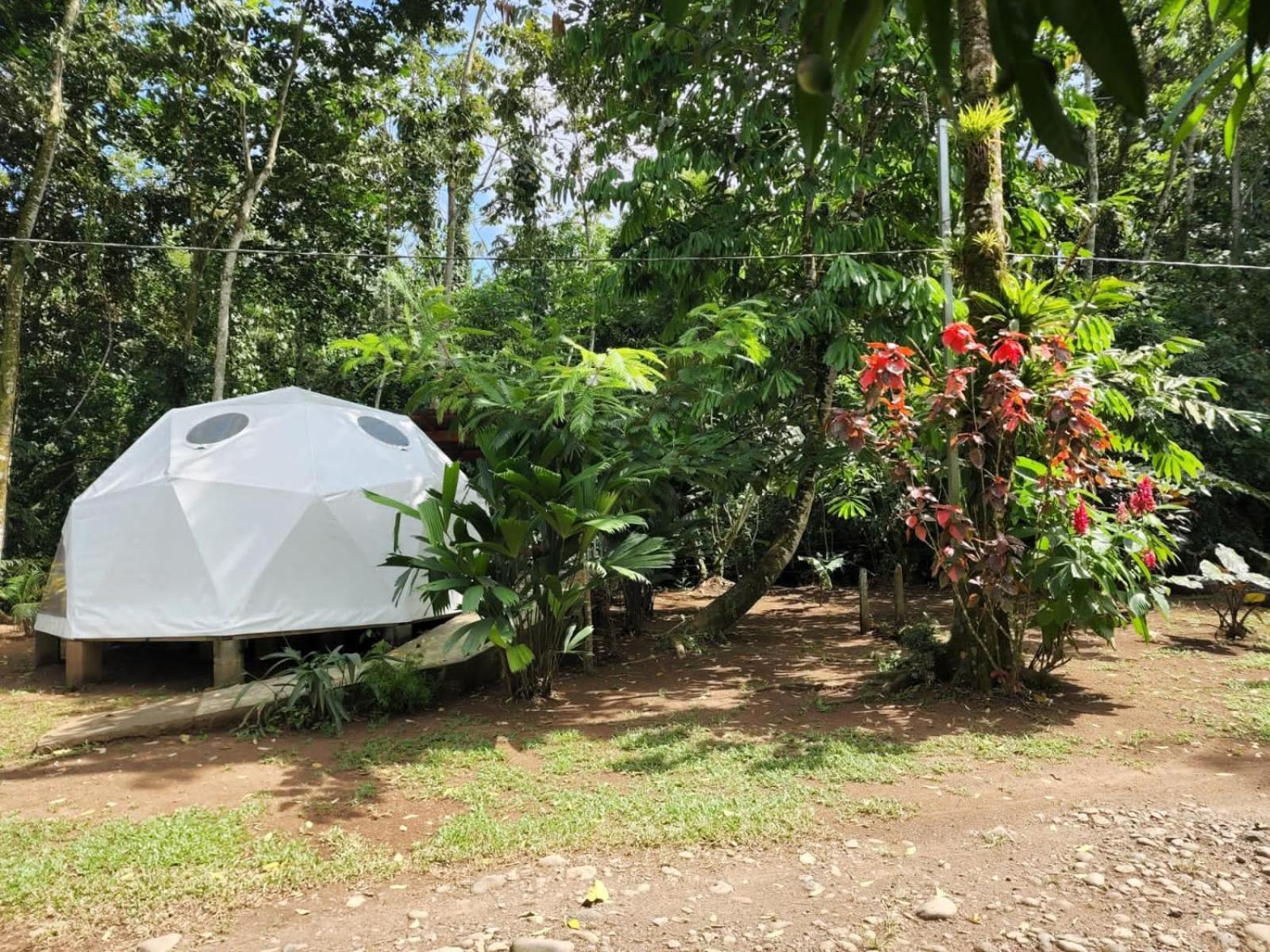 Glamping Naioth Apartment Guapiles Ngoại thất bức ảnh