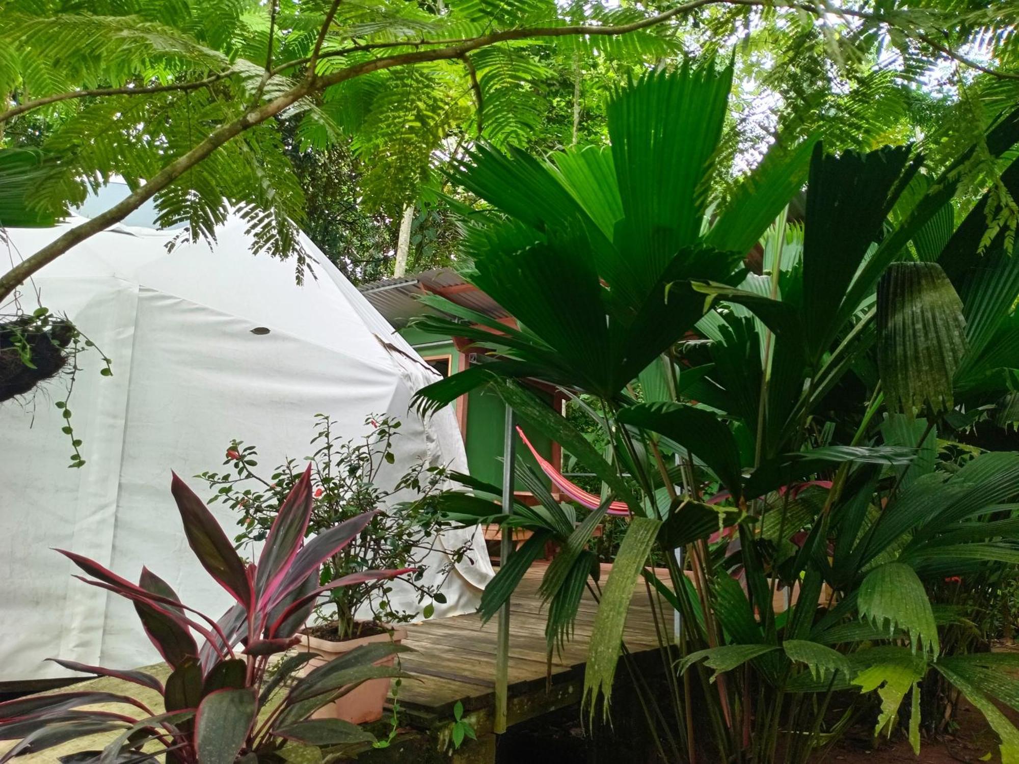 Glamping Naioth Apartment Guapiles Ngoại thất bức ảnh