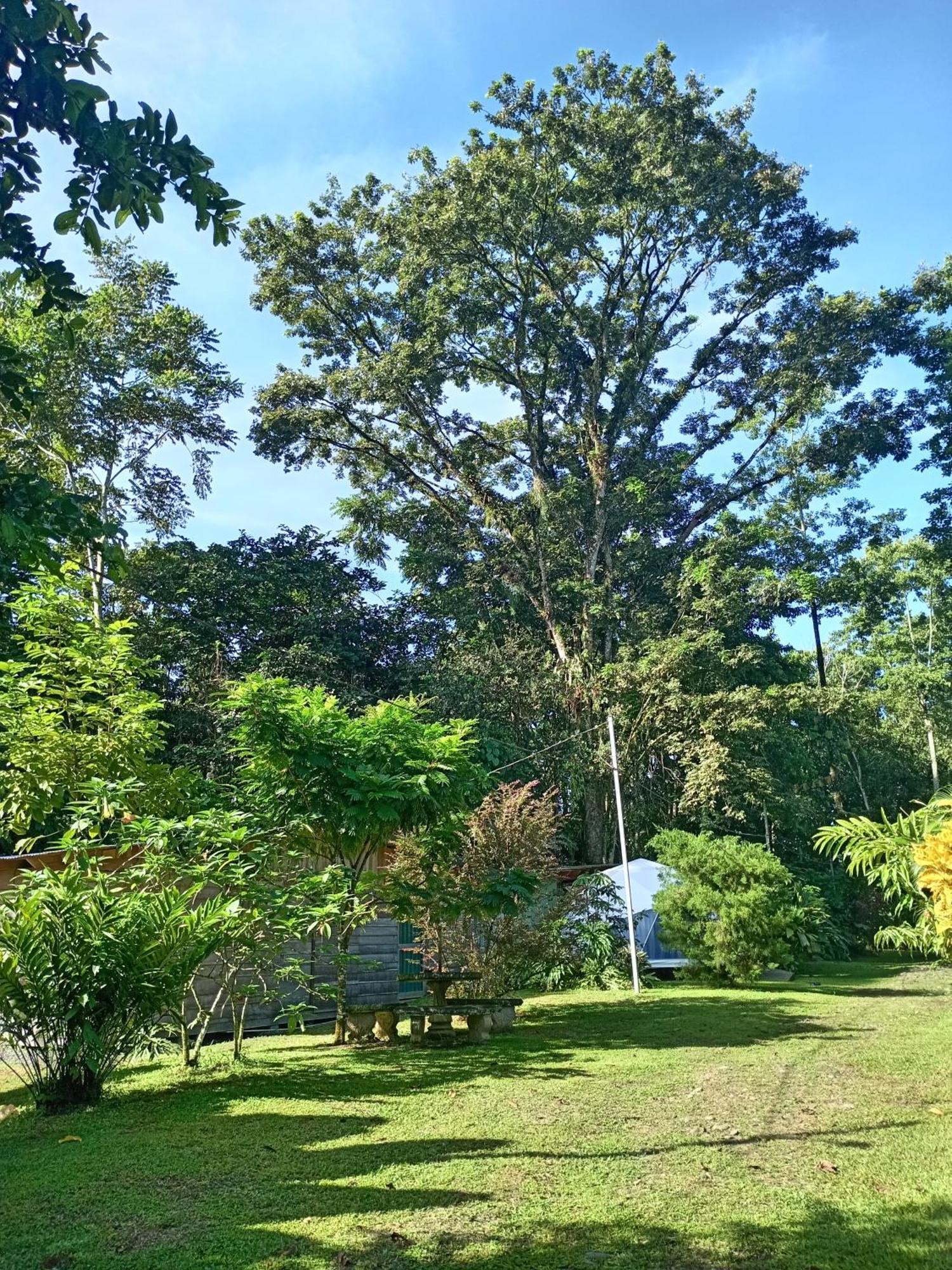 Glamping Naioth Apartment Guapiles Ngoại thất bức ảnh