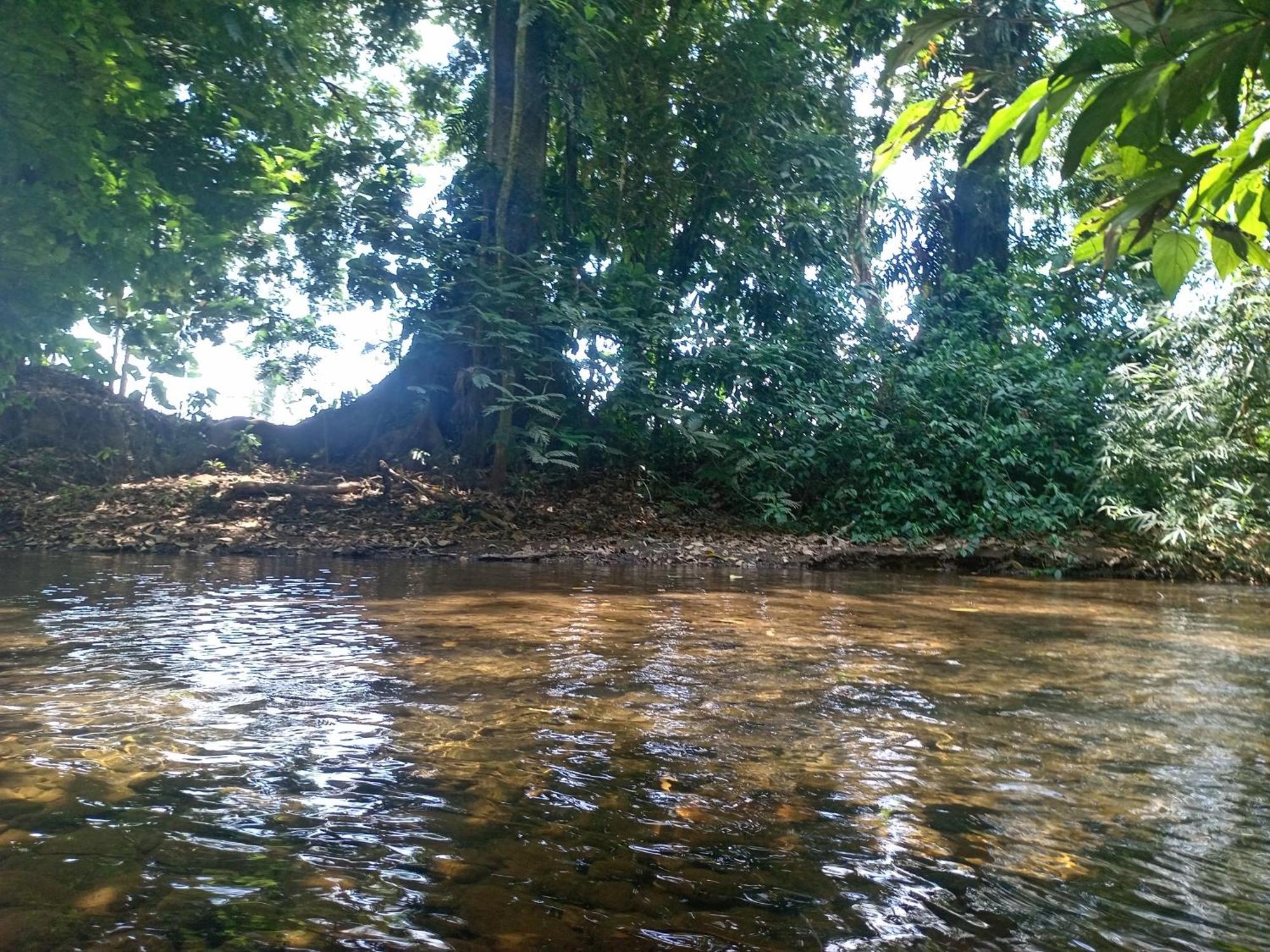 Glamping Naioth Apartment Guapiles Ngoại thất bức ảnh