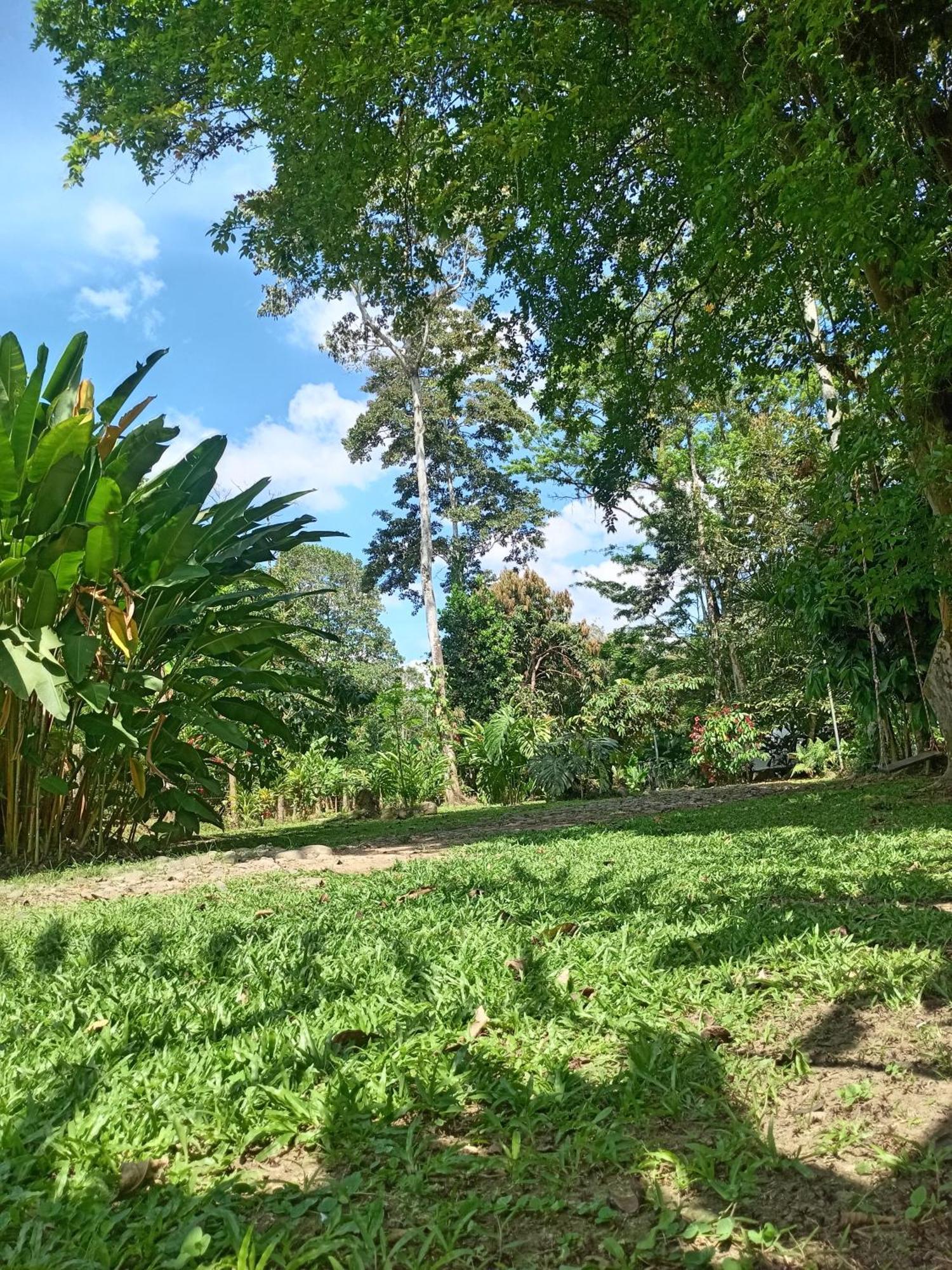Glamping Naioth Apartment Guapiles Phòng bức ảnh